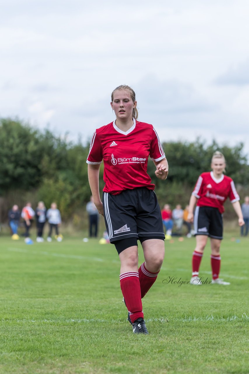 Bild 157 - Frauen SG NieBar - HSV 2 : Ergebnis: 4:3